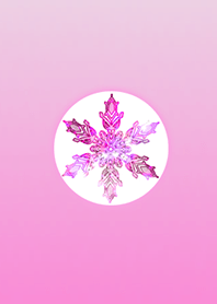 Snow pink red @ winter feature
