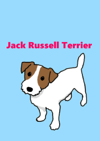 Jack Russell Terrier Line Theme Line Store