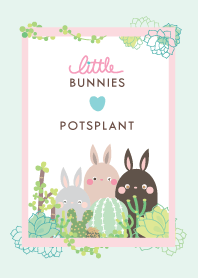 Little Bunnies Love Potsplant
