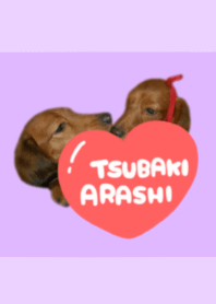 tsubaki&arashi