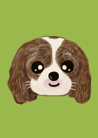 Cute cute Cavalier