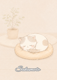 Cozy Lazy Cat: Sakamoto