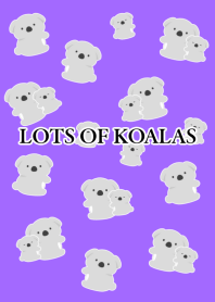 LOTS OF KOALAS/PURPLE