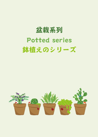 鉢植えのシリーズ