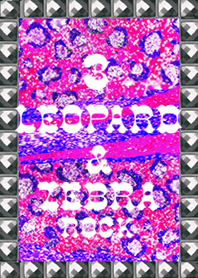 LEOPARD & ZEBRA ROCK