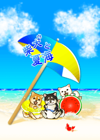 柴犬と夏海２（白柴、茶柴、黒柴）