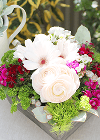 theme【flower】36
