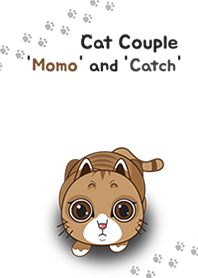 Cat Couple 'Momo' and 'Catch' theme