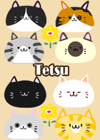 Tetsu Scandinavian cute cat2