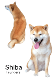 shiba inu and daily life2 (Japanese ver)