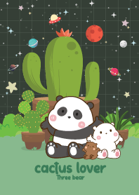 Three Bears Cactus  Lover Smile