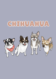 chihuahua3 - mist purple