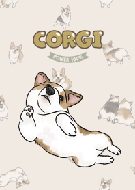 corgicorgi8 / cream