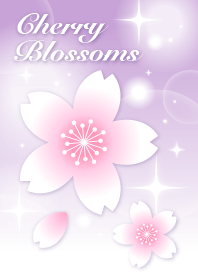 Sakura purple
