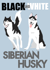 SIBERIAN HUSKY -BLACK AND WHITE-