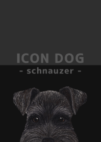 ICON DOG - schnauzer - BLACK/04