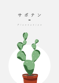 Plantation - Cactus