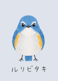 Soft Bird Series: Red-flanked Bluetail
