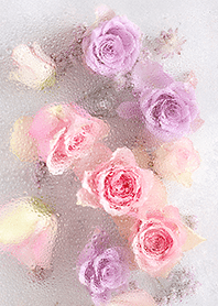 ガラスの中の薔薇