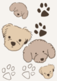 Poodle and Pekingese
