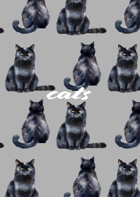 Black cat resting on white