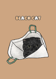 blackcat3 - burly wood