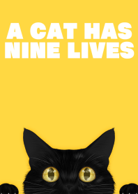 BLACK CAT -yellow-