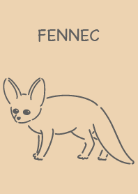 Fennec simple brown