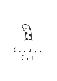 Garden Eel (spotted)/white black