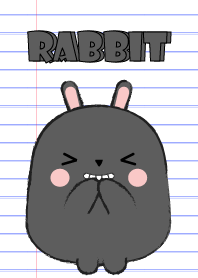 Cute Fat Black Rabbit