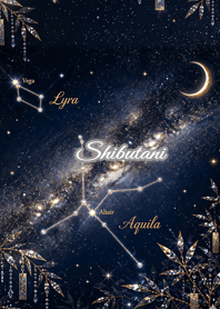 Summer Constellation: Shibutani