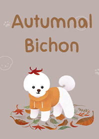 Autumn Bichon
