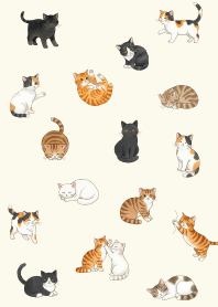 Cute cats daily life6