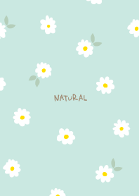 Small white flower pattern leaves14Japan