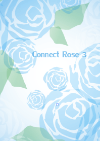 Connect Rose Vol.3