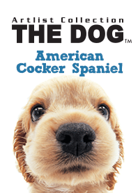 THE DOG アメリカン・コッカー・スパニエル