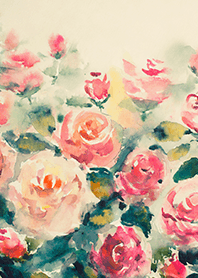 Beautiful rose flower(R4092)