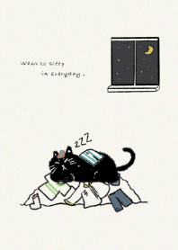 黑貓的生活懶到底