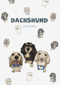 dachshund2 / white smoke