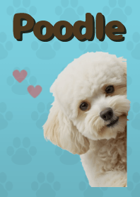 ธีมพุดเดิ้ลทอย Green 06