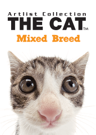 THE CAT ミックス