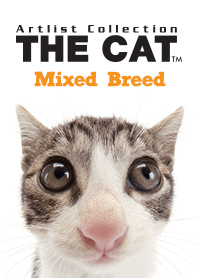 THE CAT Mixed Breed
