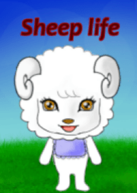 Sheep life