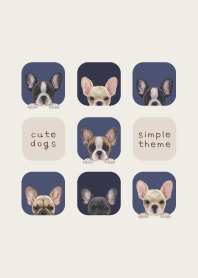 DOGS - French bulldog - NAVY