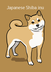 Japanese Shiba inu