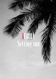 ALOHA Setting sun palm.