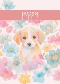 The Puppy's Gaze light pink