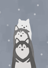 Order dog - Sled