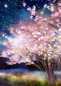 Beautiful night cherry blossoms#363