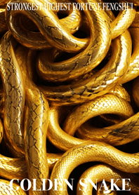 Golden Snake Lucky 20